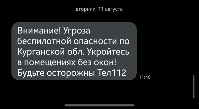 СМС пришла через 20 минут после объявления опасности в «Максе» | Источник: Александр Лисихин / 45.RU 