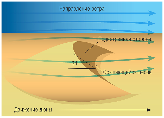 Почему не рассыпаются песчаные дюны?