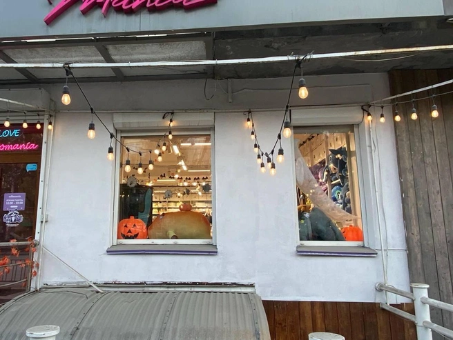 В магазине подарков на Красном проспекте посетителей встречают гирлянды в форме летучих мышей, зловещие тыквы и наклейки с пауками. | Источник: Анастасия Хрипушина/NGS.RU