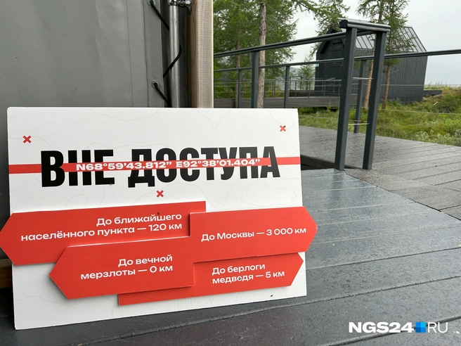 Хороший расклад | Источник: Алексей Тайганавт / NGS24.RU