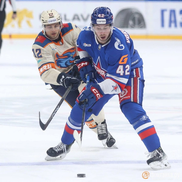 Источник: Сергей Михайличенко / «Фонтанка.ру»