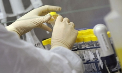 Фото №1 - Число заболевших холерой в Мариуполе достигло 24 человек