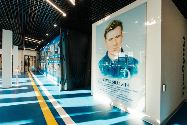 Источник: Ксения Зимина