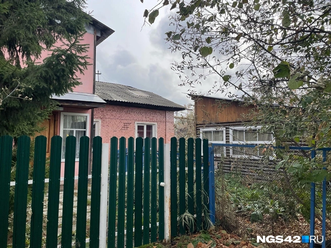 Источник: Лера Городецкая / NGS42.RU