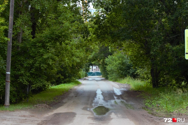 Когда-то эта дорога проходила через весь район. Теперь&nbsp;— тупик и забор | Источник: Павел Красоткин / 72.RU 