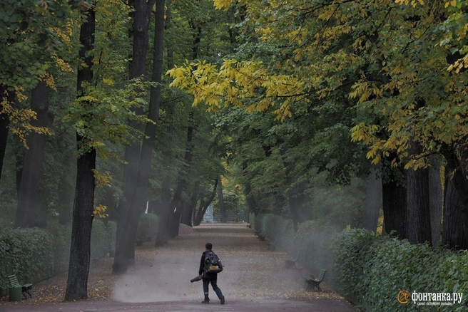 Главный синоптик Петербурга рассказал, когда и где пойдет первый снег | Источник: Михаил Огнев / «Фонтанка.ру»