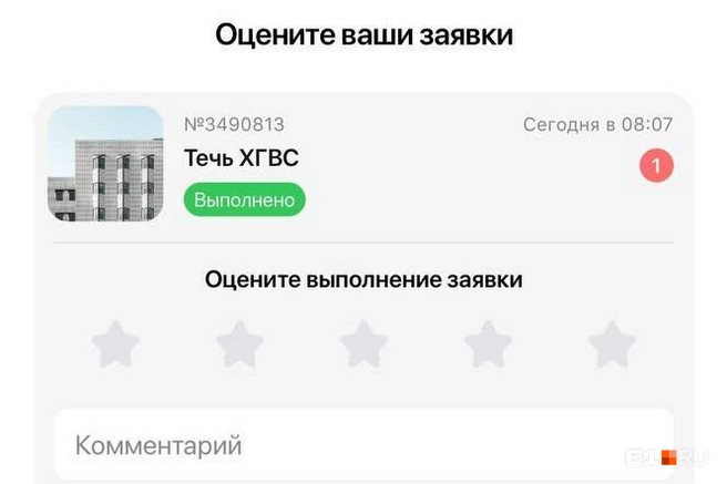 Самой девушке ответили, что заявка выполнена | Источник: читательница E1.RU