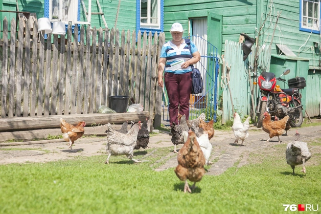В деревне много дел, помимо работы | Источник: Елена Вахрушева / Городские медиа