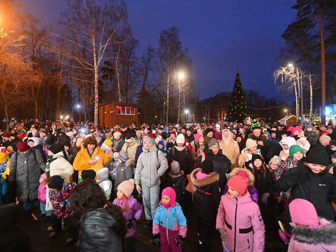 Источник: Максим Воробьев / E1.RU