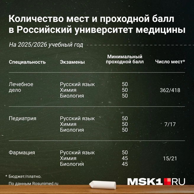 Источник: Полина Авдошина / Городские медиа