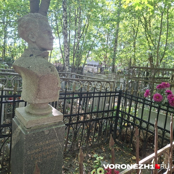 Источник: Алена Воропаева / Voronezh1.ru