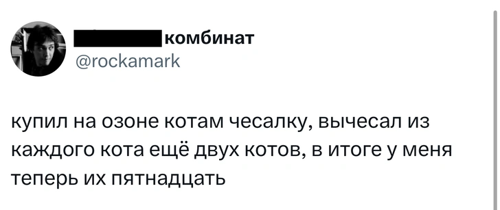 Шутки понедельника и «концентрационный лагер»