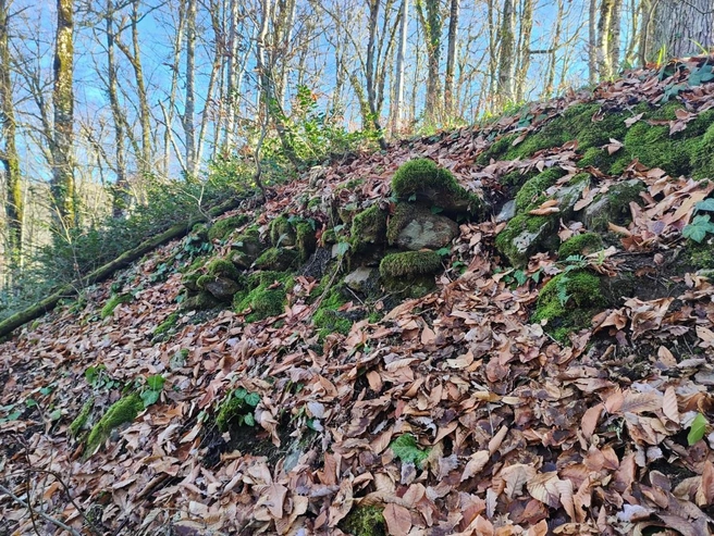 Часть стены хорошо сохранилась  | Источник: Npsochi.ru