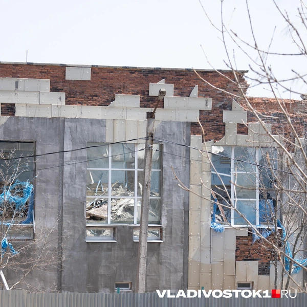 Источник: Елена Буйвол / VLADIVOSTOK1.RU