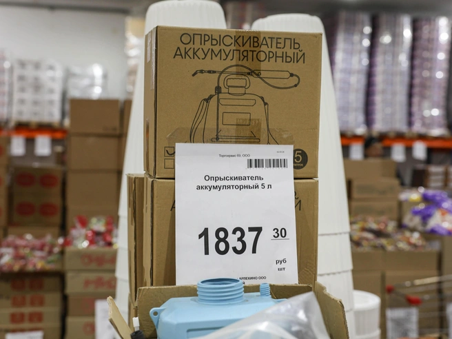 Аккумуляторный опрыскиватель объемом 5 литров стоит около 2000 рублей. | Источник: Артем Бауман / 76.RU
