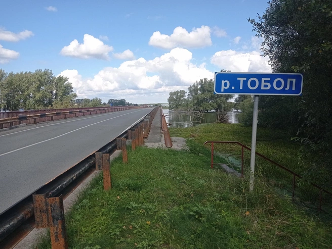 Этим летом мертвую рыбу заметили в основных водоемах | Источник: Аркадий Репанов