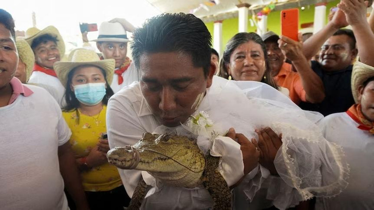 Невеста всех краше была: в Мексике мэр города женился на самке крокодила — вот что это значит
