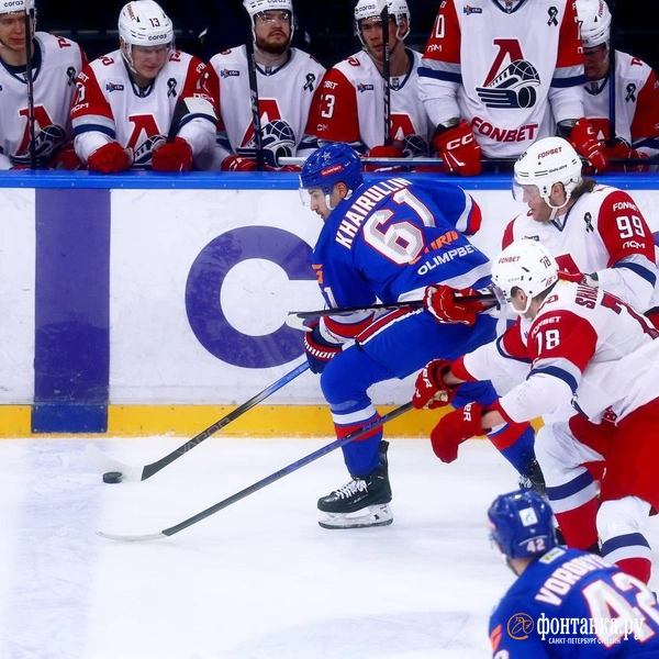 Источник: Дарья Драй/«Фонтанка.ру»