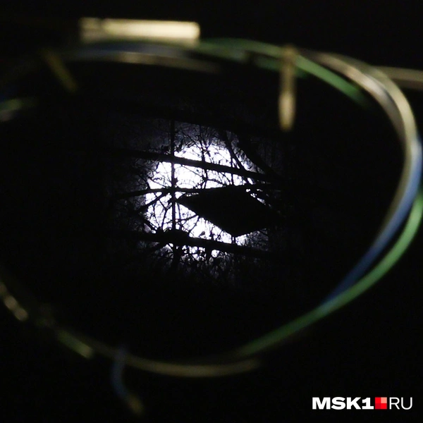 Источник: Артем Устюжанин / MSK1.RU