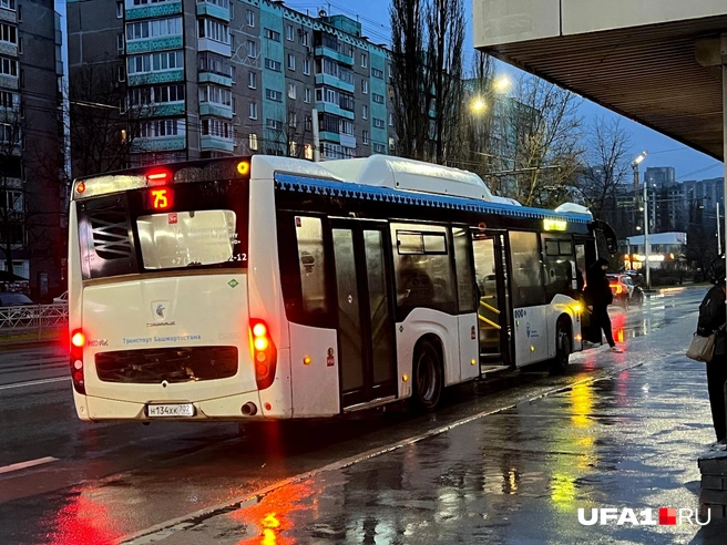 Выходящий пассажир завис в воздухе | Источник: Андрей Бирюков / UFA1.RU