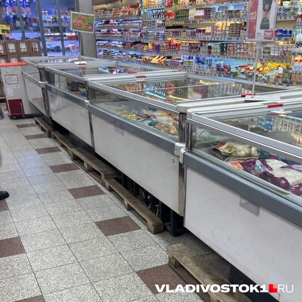 Источник: Елена Буйвол / VLADIVOSTOK1.RU
