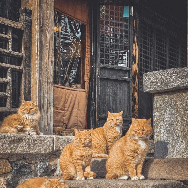 «Ctrl+C, Ctrl+V» | Источник: Hao Yue / Ippawards 2023
