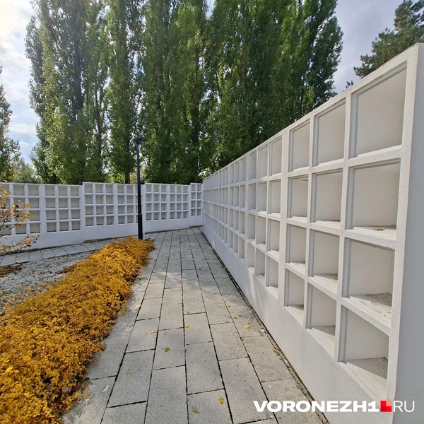 Источник: Алёна Воропаева / Voronezh1.ru