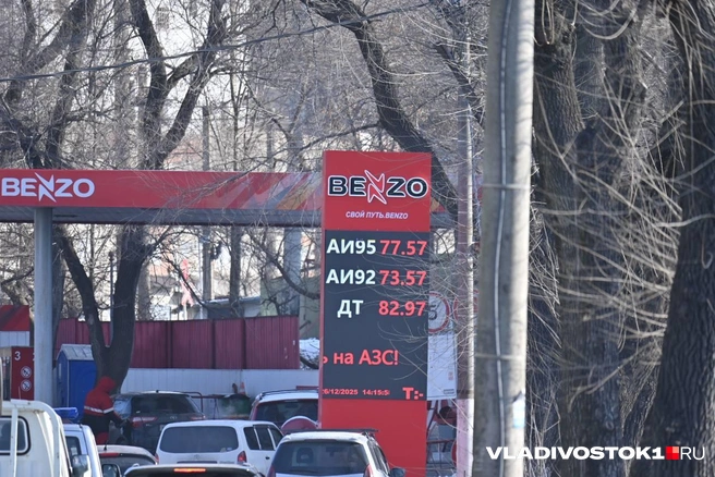 Источник: Елена Буйвол / VLADIVOSTOK1.RU