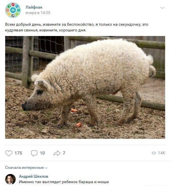 Кучеряво...:-) Здравствуйте, уважаемые, Приятного, времени, суток