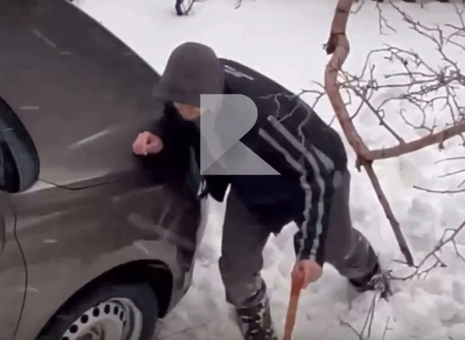 В рязанском дворе засняли «агронома-кладоискателя» | ya62.ru