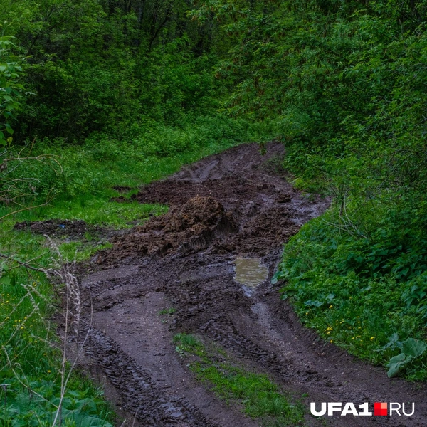 Не советуем сюда наступать | Источник: Булат Салихов / UFA1.RU