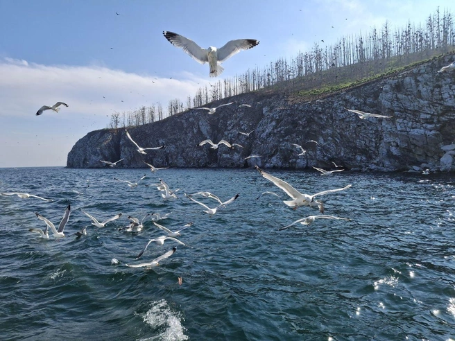 Туристы попадают в настоящую сказку Чивыркуйского залива | Источник: «Кристальный Байкал»