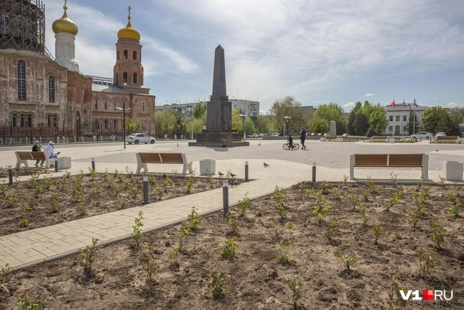 Липы и каштаны на площади увидеть не удалось, но розы еще пытаются выжить в покрывшейся глубокими трещинами сухой земле | Источник: Константин Завриков / V1.RU