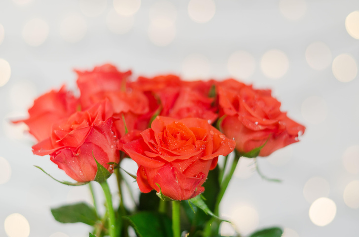 Вопросы читаталей: какие цветы дарят на День святого Валентина?