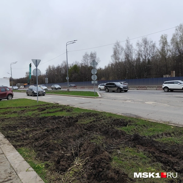 Газон возле стройплощадки станции «Липецкая» | Источник: Игорь Мещанев / MSK1.RU