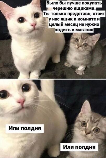 Немного о черешне :-) Здравствуйте, уважаемые, Приятного, времени, суток