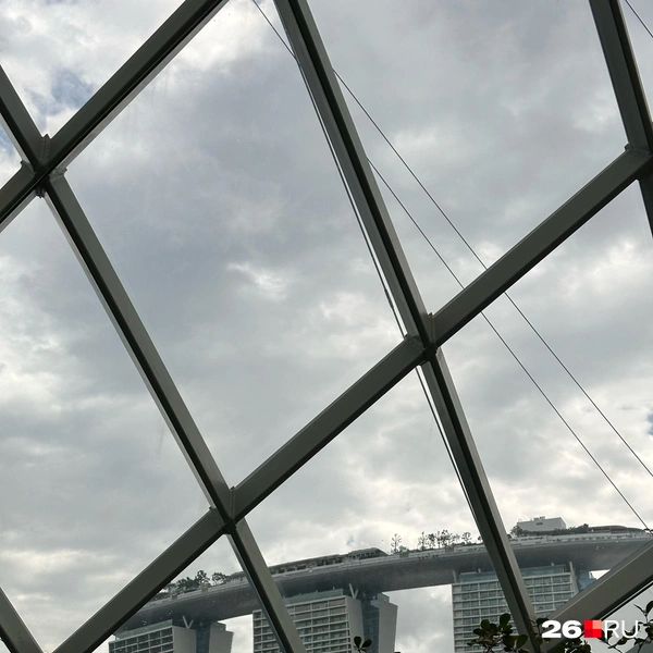 Вид на Marina Bay Sands&nbsp;— отель-корабль из Flower Dome | Источник: Габриелла Захарова / 26.RU