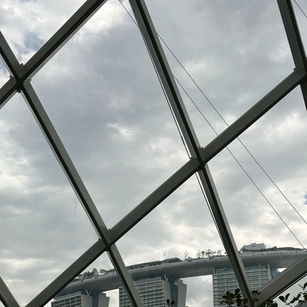 Вид на Marina Bay Sands&nbsp;— отель-корабль из Flower Dome | Источник: Габриелла Захарова / 26.RU