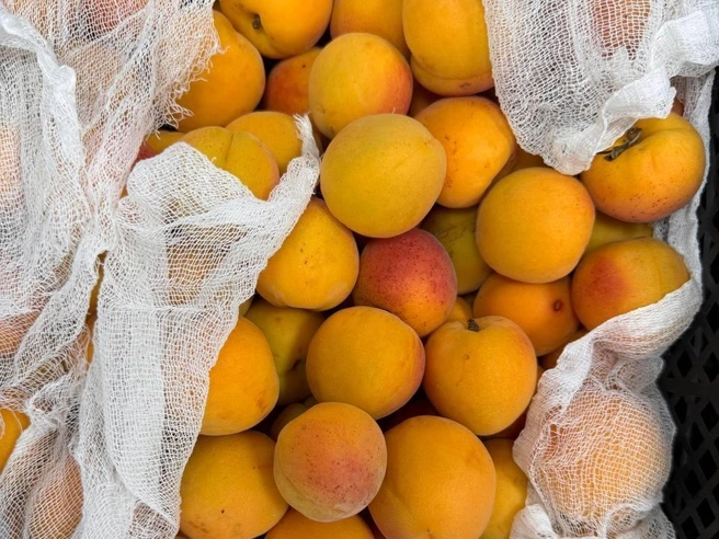 Летом в магазинах «ЯгодГрад» можно найти еще больше натуральных продуктов | Источник: «ЯгодГрад»