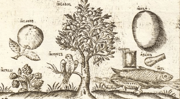 Рисунок на листе, посвященном букве «Я», Букварь Кариона Истомина, 1692 | Источник: Wikimedia Commons