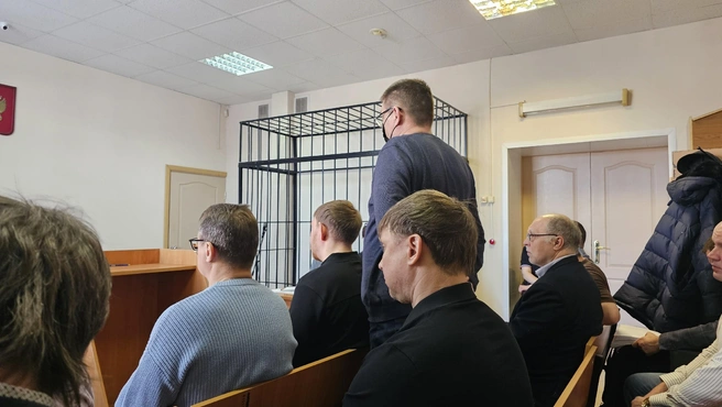 Источник: Дарья Никитченко / 45.RU 