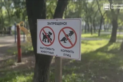 Рейд по выгулу собак: семь нарушений в сквере Благовещенска