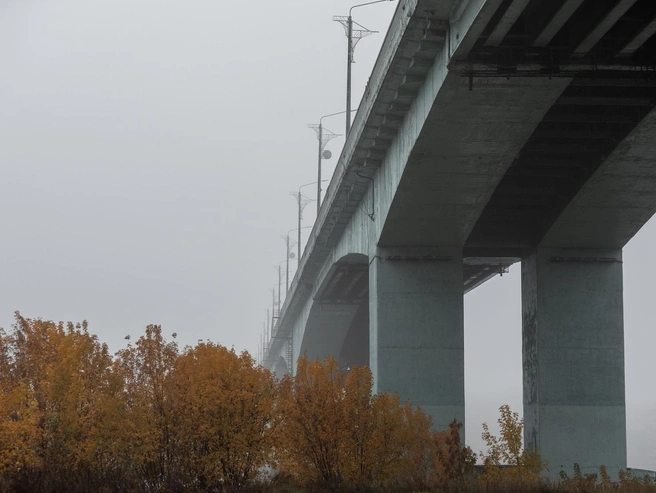 Величественные опоры моста на фоне пылающей осени | Источник: Александр Куренной / 76.RU