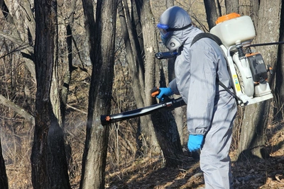В Хабаровском крае создают биологический щит против клещей