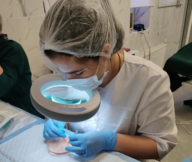 Пересадка волос&nbsp;— ювелирная работа | Источник: «Сова»