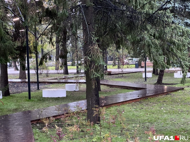 Эко-тропы сейчас в моде | Источник: Андрей Бирюков / UFA1.RU
