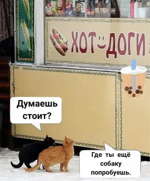 Смешные мемы и картинки о хот-догах | Источник: соцсети