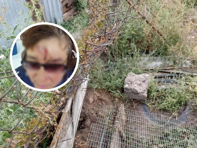 Пенсионерка отбывает 240 часов обязательных работ в Быковском районе Волгоградской области | Источник: читательница V1.RU Евгения