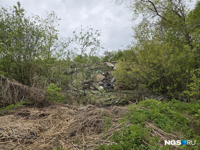 Гора строительного мусора, которой засыпают участок, виднеется с огородов. Правда, откуда в горе собственно мусор, организатор стройки не знает | Источник: Елизавета Шаталова / NGS.RU