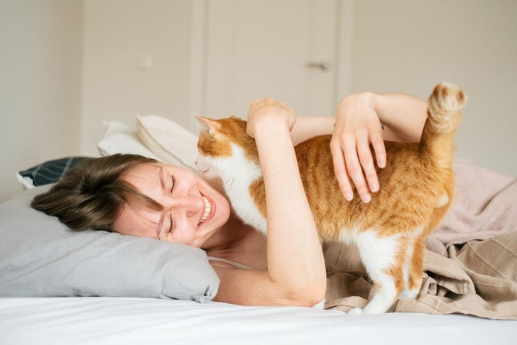 Почему кошка будит вас по утрам: у нее на это 5 причин🐾